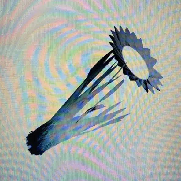 You Should Be a Star